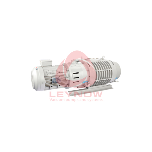 LR 0100 羅茨91香蕉视频在线